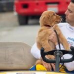 enzo und die wundersame welt der menschen